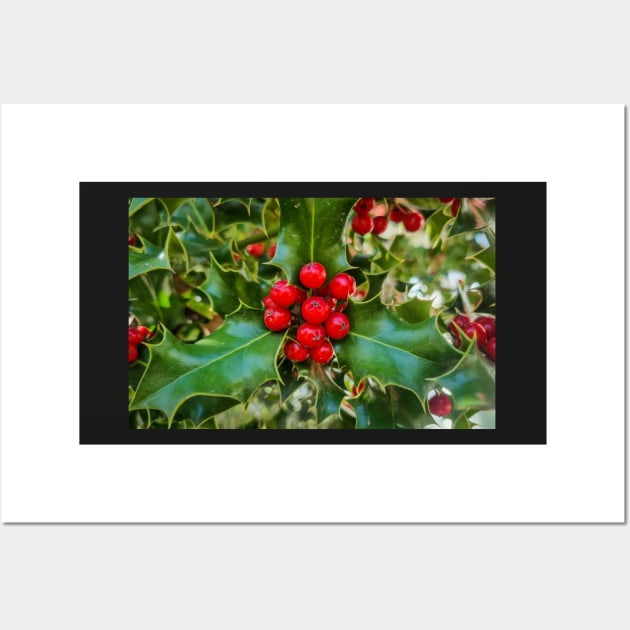 Christmas Holly Plant Wall Art by Anastasia-03